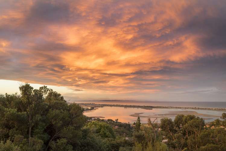 170 Mount Pleasant Road Mount Pleasant_8