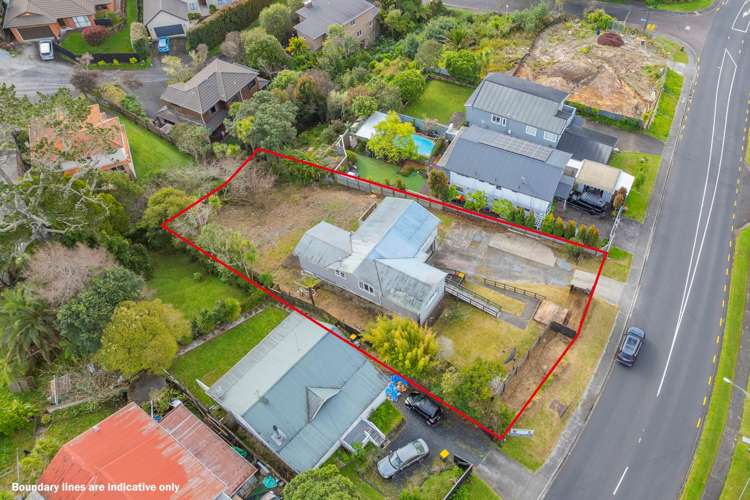 46 The Avenue Albany_2