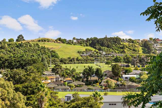 46 Totara Place Pukekohe_4