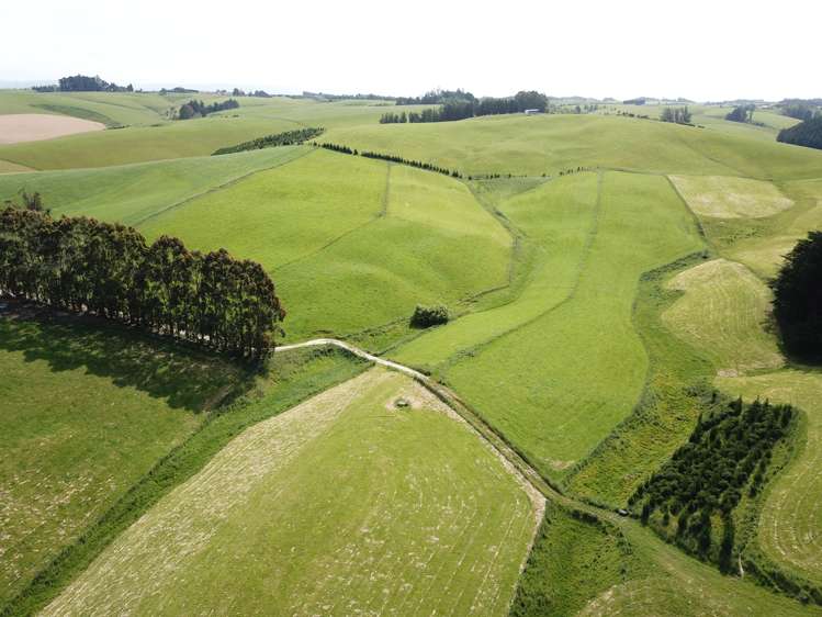 31 Windy Ridge Road Balclutha_8