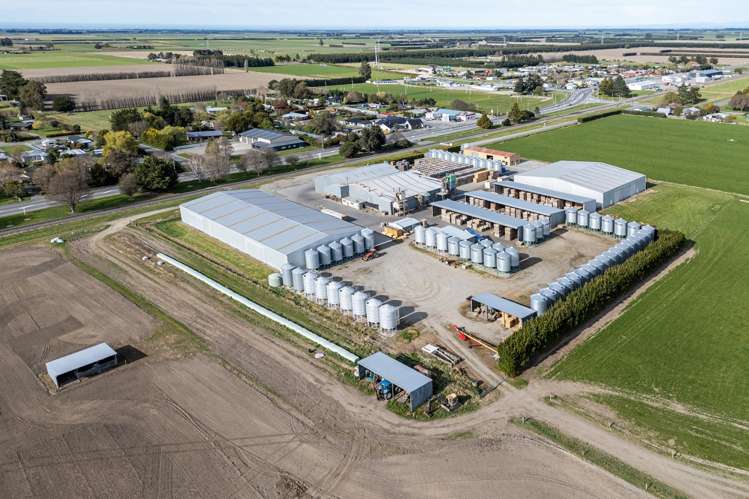 20 Framptons Road Hinds_20