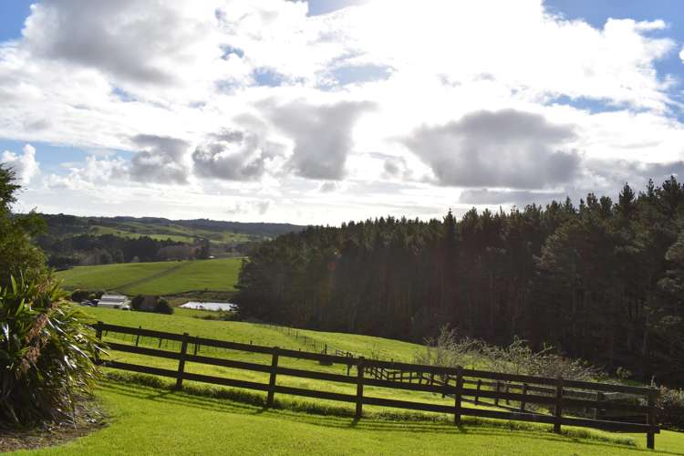 136 Valley Road Waitoki_7