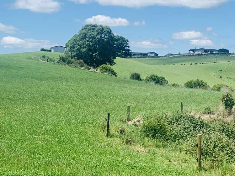 231B Morgan Road Matamata_6