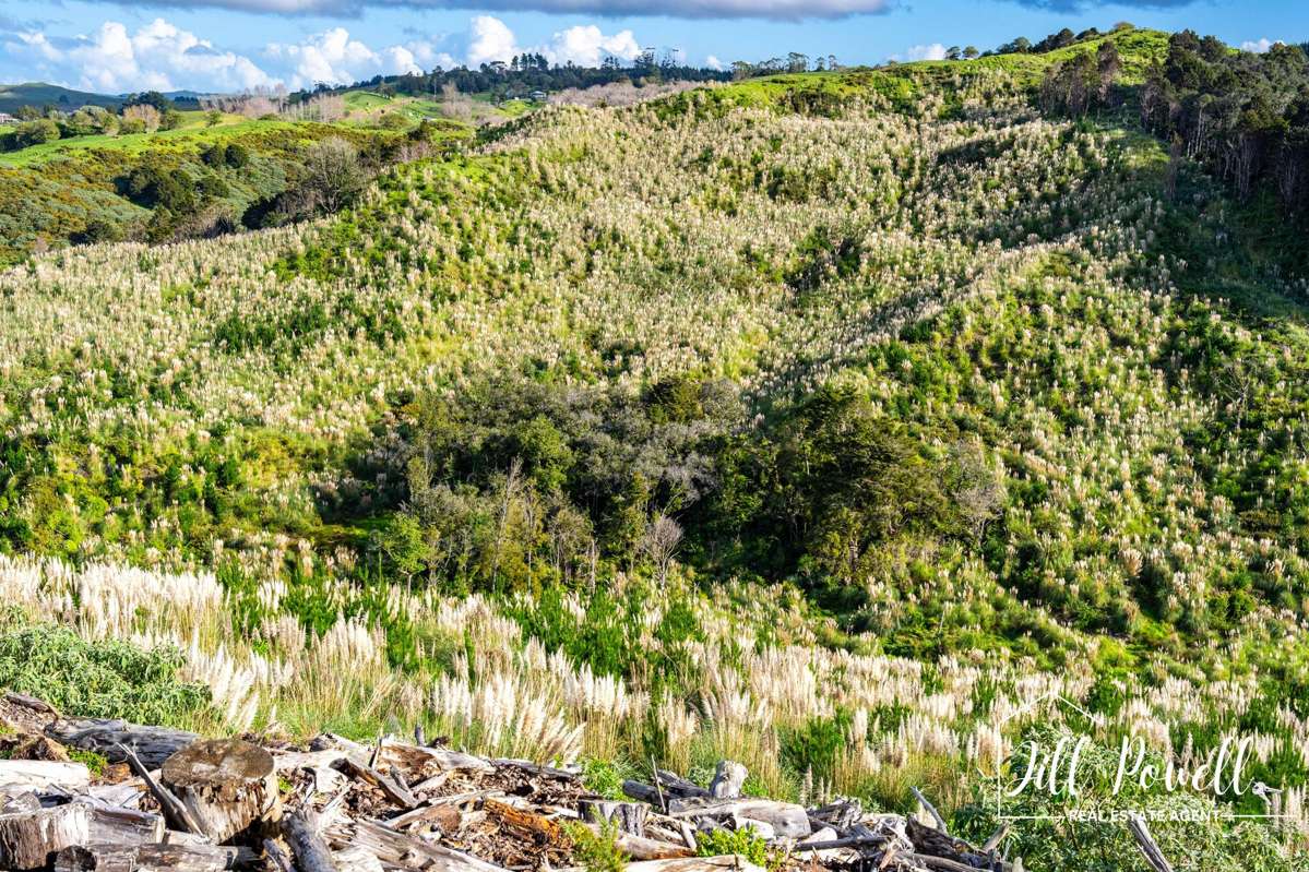 Lot/13 Kamea Place_3