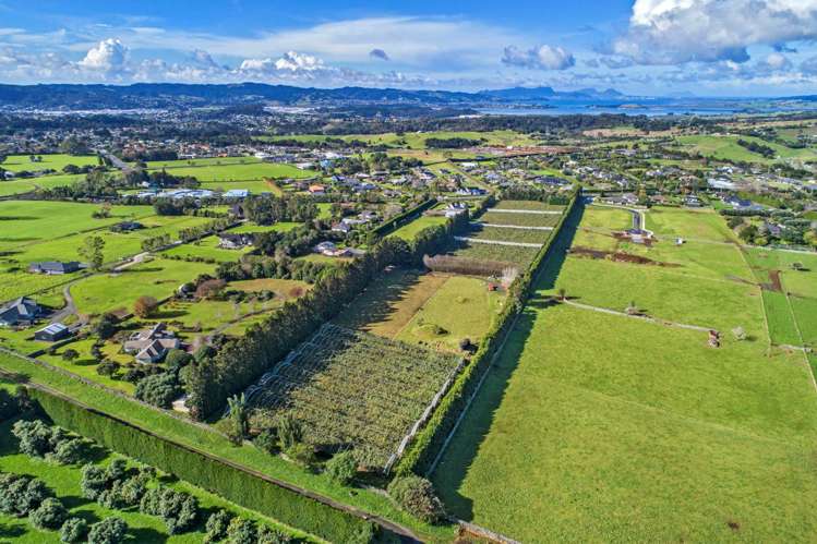 48 Austin Road Maunu_8