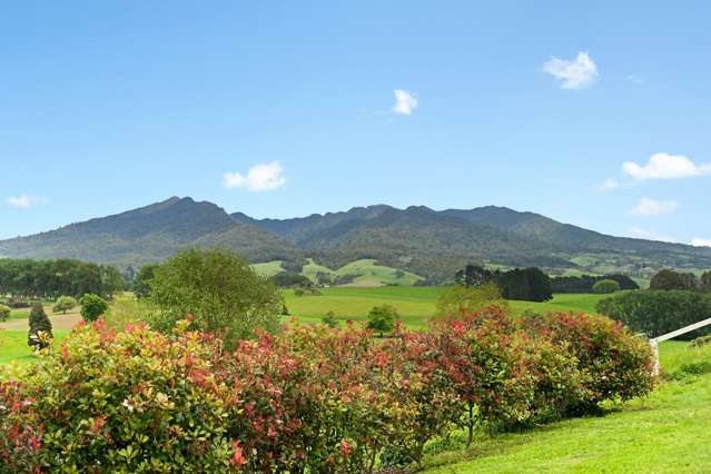 242 Te Pahu Road Te Pahu_4