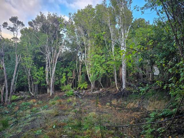 8 Rata Street Stewart Island_1