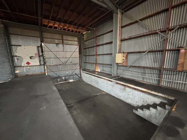 41 Keith Street Roslyn_3