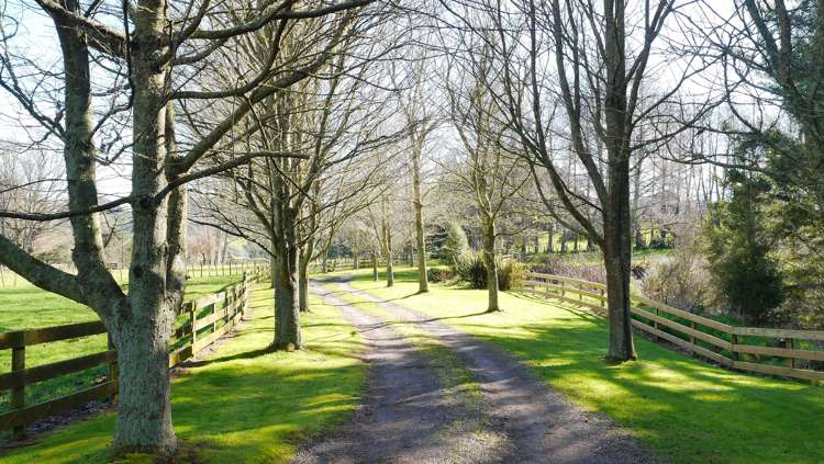 993 Whirinaki Valley Road Ngakuru_41