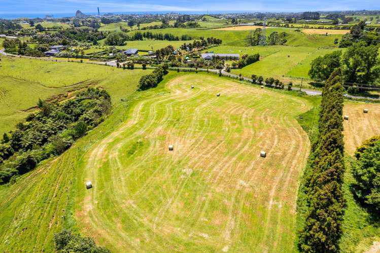 160 Sealy Road Omata_7