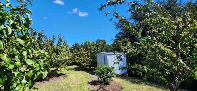 27 Kanuka Rise Thames_12