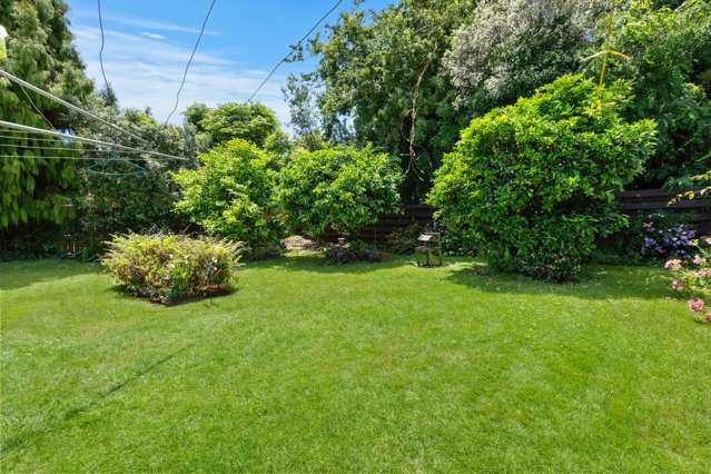 6 Sanders Avenue Morrinsville_3