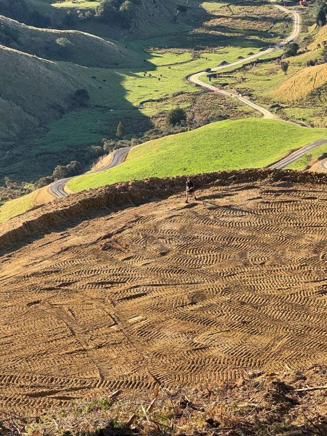 127 Russells Road Whitemans Valley_3