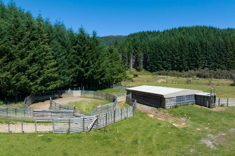 990 Howard Valley Road Howard_22