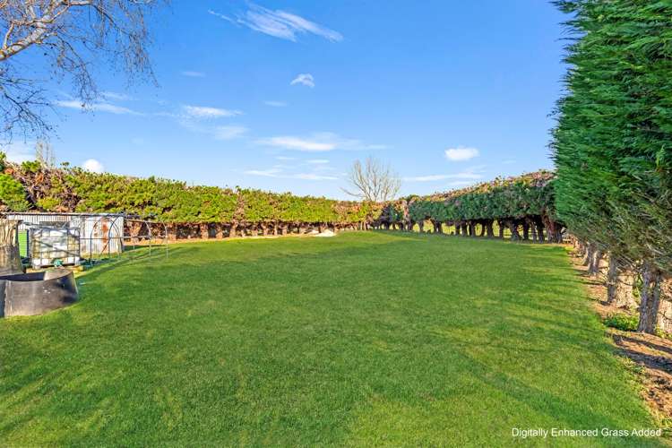 127 Berwick Street Riversdale_28
