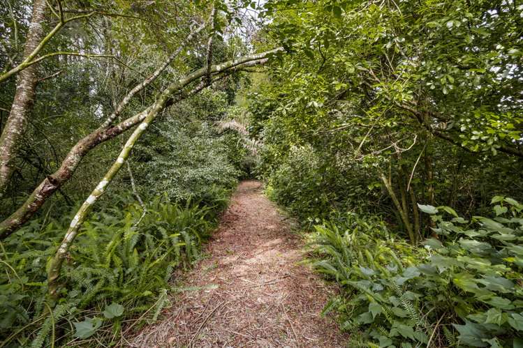 2130 Gordonton Road Taupiri_18