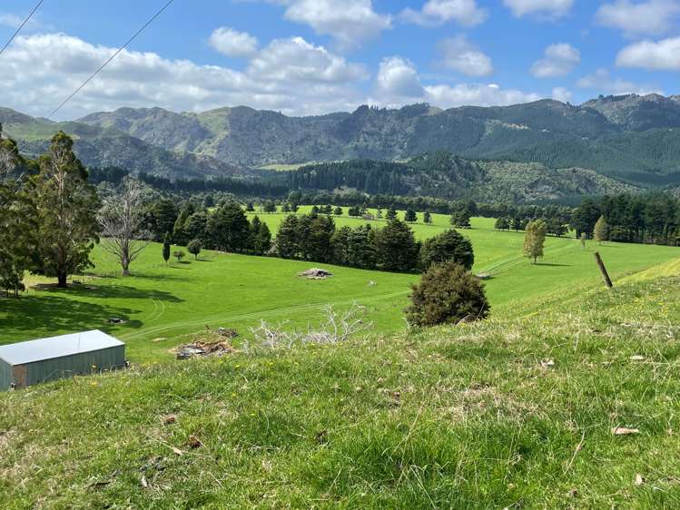 1405 Mangleton Road Central Hawkes Bay Country_7