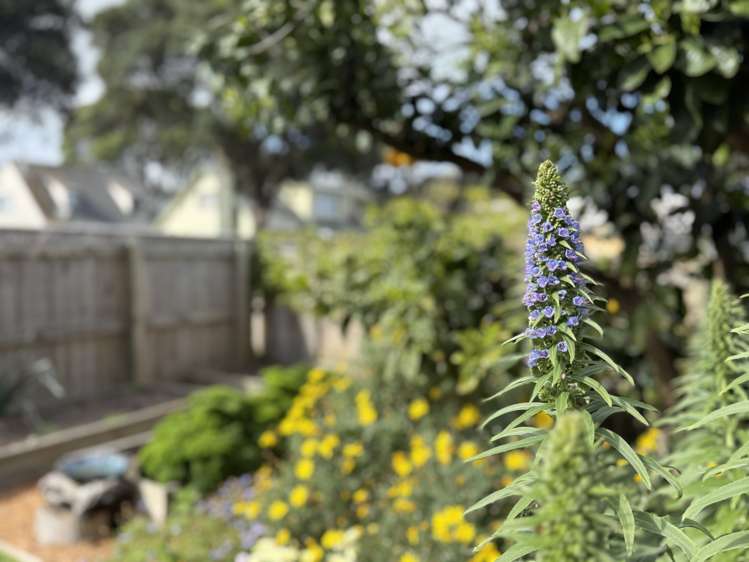 14b Toi Street Otaki Beach_16