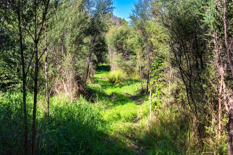 134 Cames Road Mangawhai_5