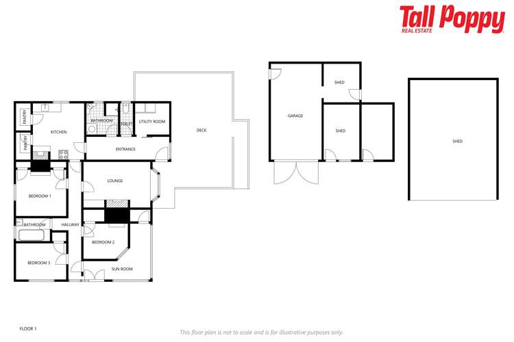 5 Essex Street Tapanui_22