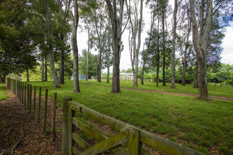 63 Ngakoroa Road Ormond_24