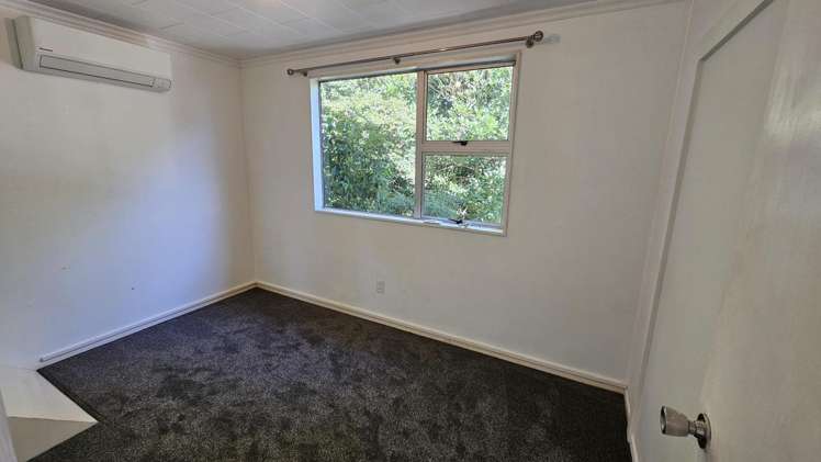 275a Carrington Street Vogeltown_9