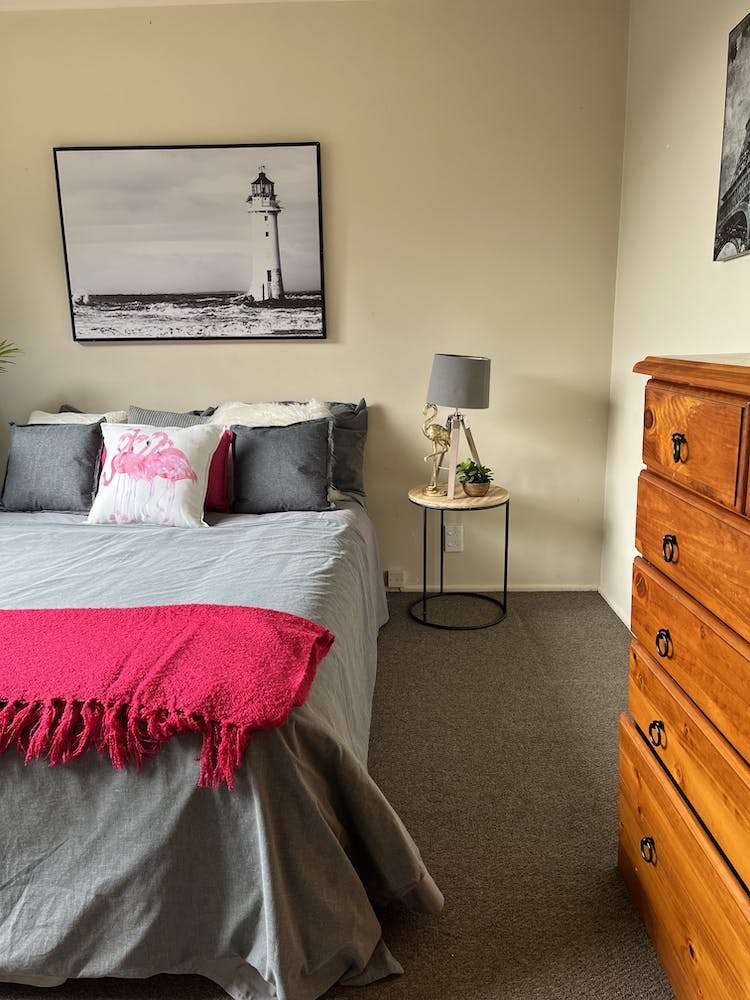 3 Serpentine Avenue Dunedin Central_7