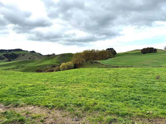 Overdale Road Putaruru_1