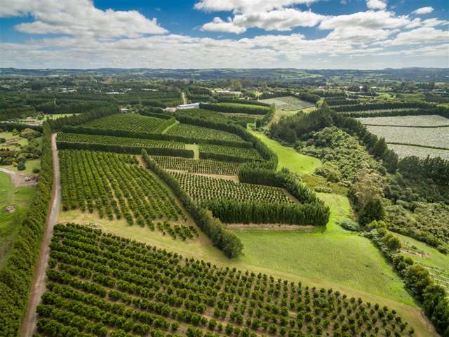 517 Kerikeri Road Kerikeri_1