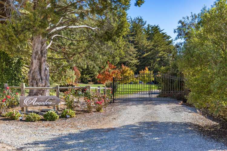 834 Avondale Road Waihopai Valley_7