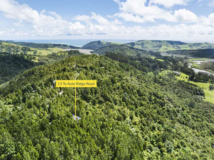 13 Te Aute Ridge Road Waitakere_11