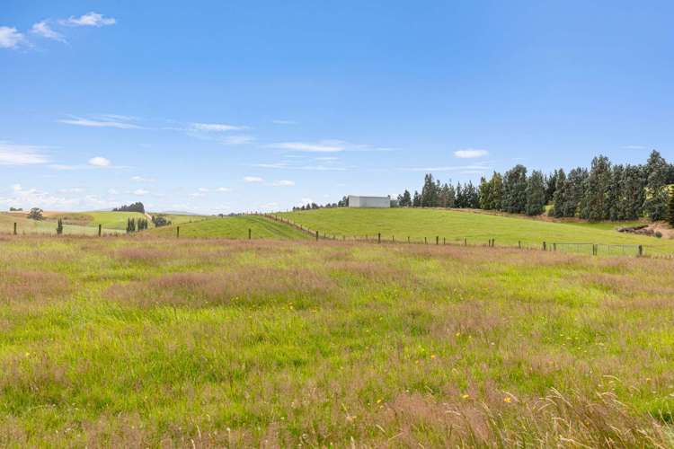 319 Collins Road Gore Surrounds_30