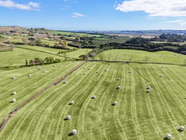 4193 Kaipara Coast Highway Wellsford_1