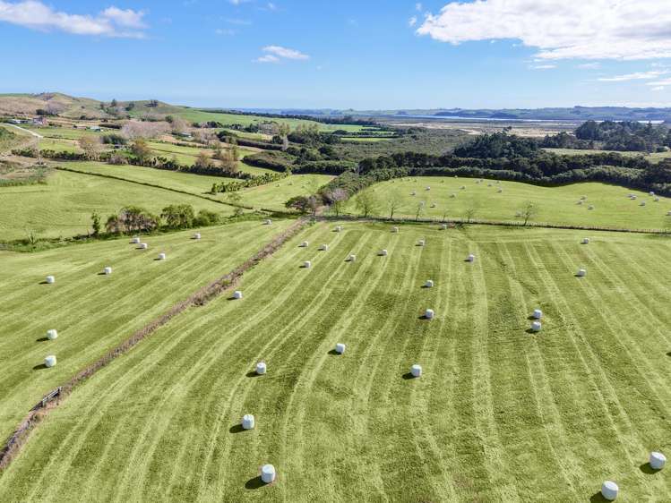 4193 Kaipara Coast Highway Wellsford_1