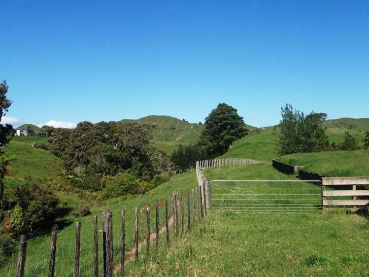 446 Stanley Road Te Popo_30