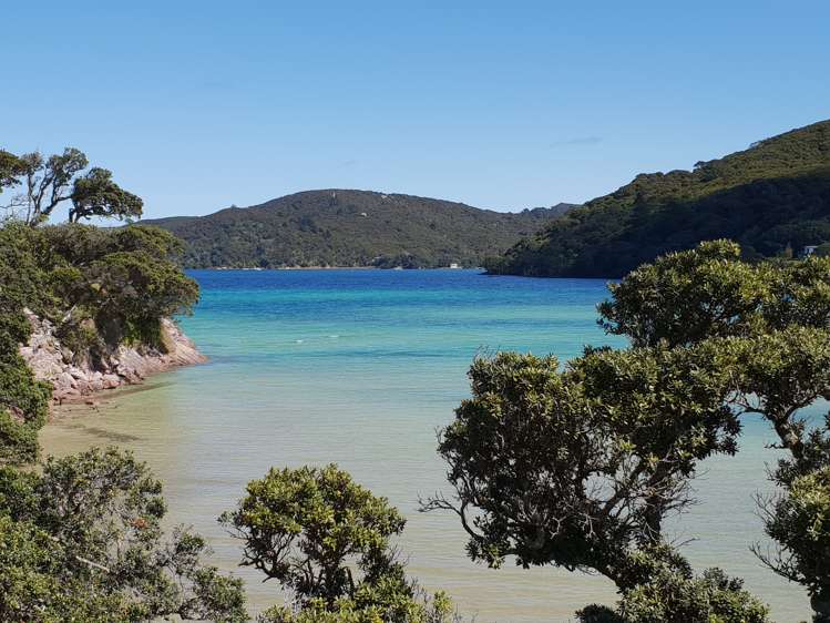 456 Shoal Bay Road Great Barrier Island (Aotea Island)_11