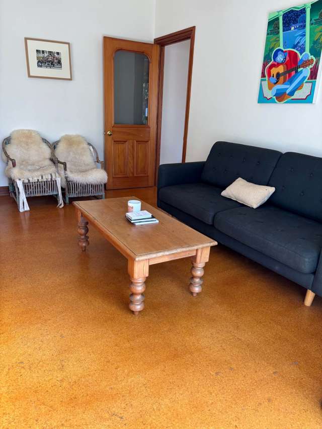 22 Summer Street Stanley Point_3