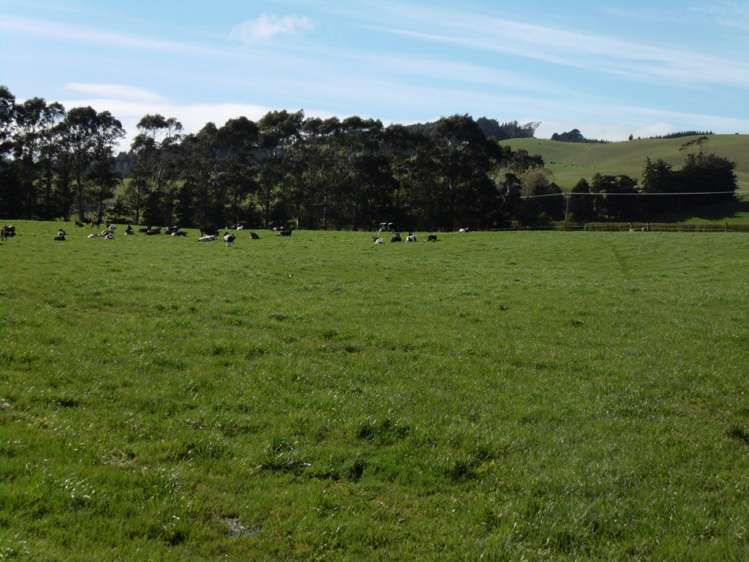 5326 Hampden-Palmerston Road Palmerston_7