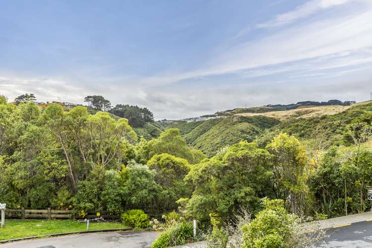 2b Bushland Grove Paparangi_9