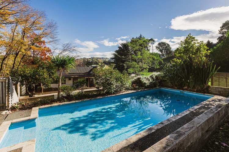 164 Hill Road Eskdale_7