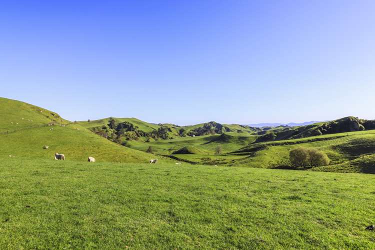 189 Pahihi Road Hauraki Surrounds_13