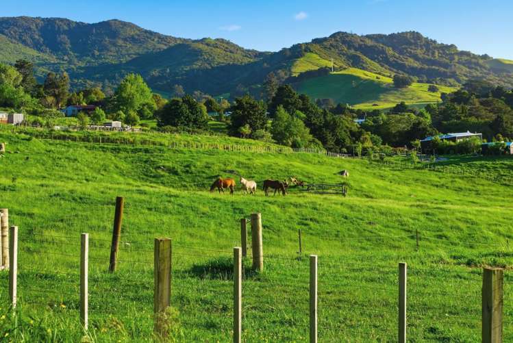 23 Edwin Road Karangahake_47