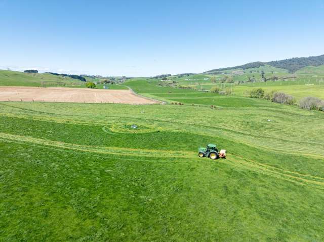 231A Morgan Road Matamata_4