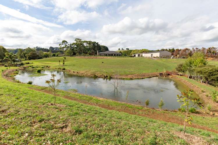 136 Wily Road Puni_20