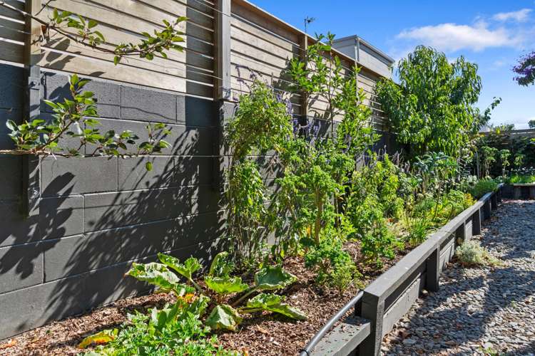 43C Woodward Road Mount Albert_19