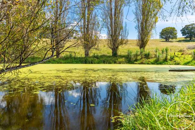 35 Minnie Casey Rise Matakohe_3