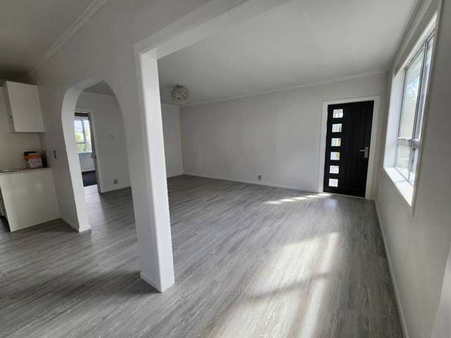 60 Webster Avenue Mt Roskill_2