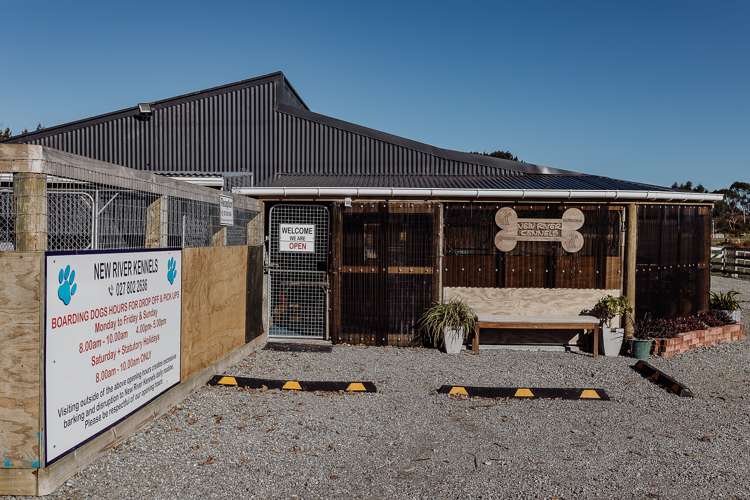 987 State Highway 6 Camerons_25