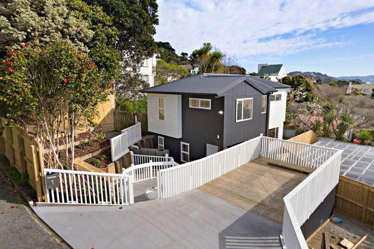 1 Pinnacle Street Seatoun_24