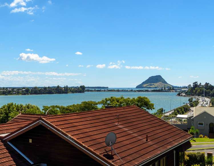 5 Edgecumbe Road Avenues_23